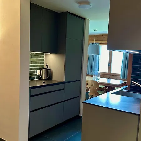 Alpenchalet Trutmundi Undri Daire *