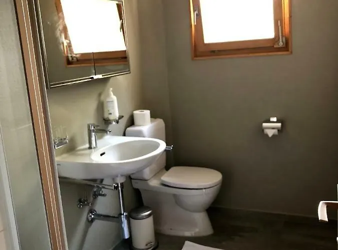 Daire Alpenchalet Trutmundi Undri *